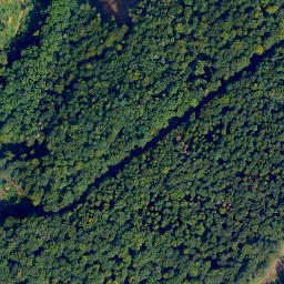 Satellite imagery of Wolfbusch, DE