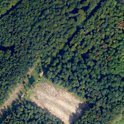 Satellite imagery of Wolfbusch, DE