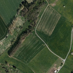 Satellite imagery of Bürgleß, DE