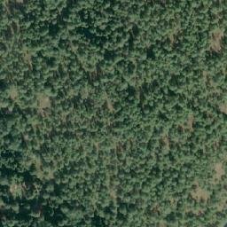 Satellite imagery of Springer Point, CA
