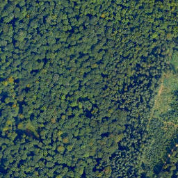 Satellite imagery of Loß-Kopf, DE