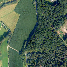 Satellite imagery of Wolfbusch, DE