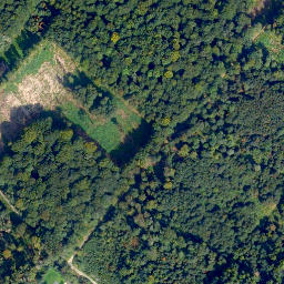 Satellite imagery of Wolfbusch, DE