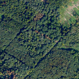 Satellite imagery of Wolfbusch, DE