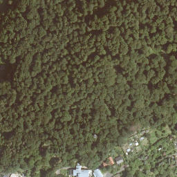 Satellite imagery of Big Tower, DE