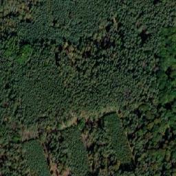 Satellite imagery of (Na Sychrově) [Loučeň], CZ