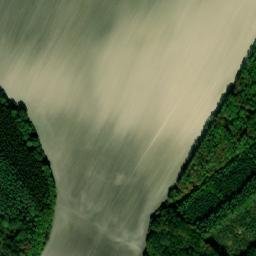 Satellite imagery of Bor [Kopidlno-Mlýnec], CZ