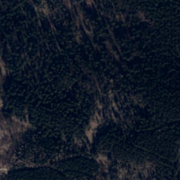 Satellite imagery of Czartowiec, CZ