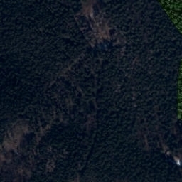 Satellite imagery of Czartowiec, CZ