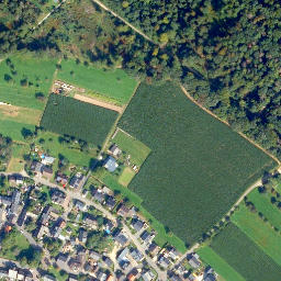Satellite imagery of Wolfbusch, DE