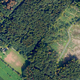 Satellite imagery of Wolfbusch, DE