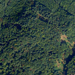 Satellite imagery of Dietzer Kopf, DE