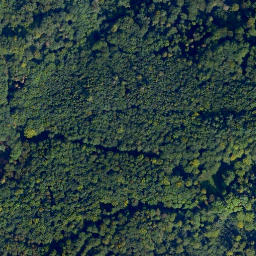 Satellite imagery of Dietzer Kopf, DE
