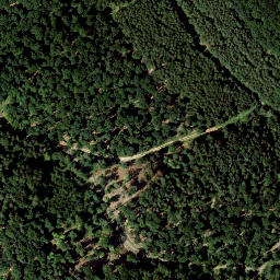 Satellite imagery of Hoher Stein, DE