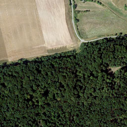 Satellite imagery of Mühlberg, DE