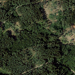 Satellite imagery of Kirchberg, DE