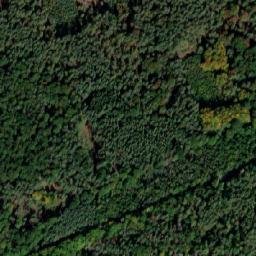 Satellite imagery of (Na Sychrově) [Loučeň], CZ