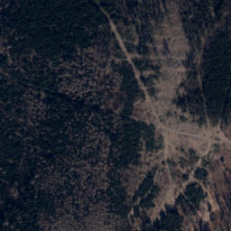 Satellite imagery of Czartowiec, CZ