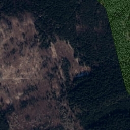 Satellite imagery of Czartowiec, CZ