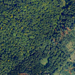 Satellite imagery of Maulbeerkopf, DE