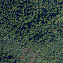 Satellite imagery of Dietzer Kopf, DE