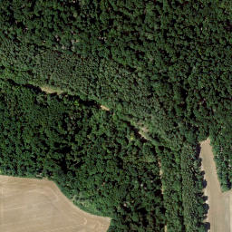 Satellite imagery of Mühlberg, DE