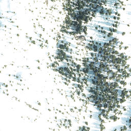 Satellite imagery of Mount Aiken, CA
