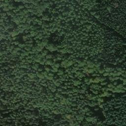 Satellite imagery of Schönbornkopf, DE