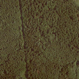 Satellite imagery of Eisenkopf, DE