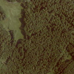 Satellite imagery of Eisenkopf, DE