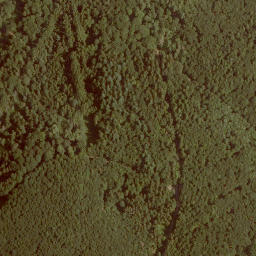 Satellite imagery of Eisenkopf, DE