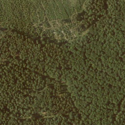 Satellite imagery of Tonkautenkopf, DE