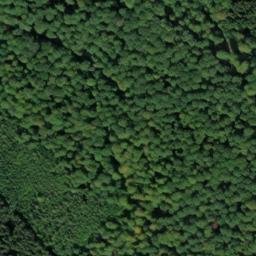 Satellite imagery of Krechenberg, DE