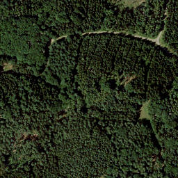 Satellite imagery of Tannenberg, DE