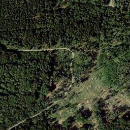 Satellite imagery of Tannenberg, DE
