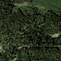 Satellite imagery of Tannenberg, DE