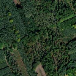 Satellite imagery of Podhoří [Vlkava], CZ