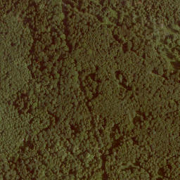 Satellite imagery of Eisenkopf, DE