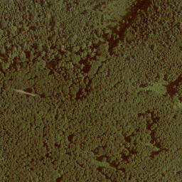 Satellite imagery of Eisenkopf, DE