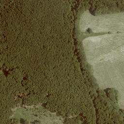 Satellite imagery of Eisenkopf, DE