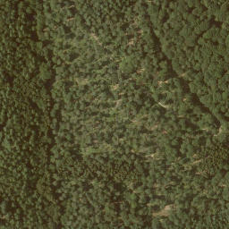 Satellite imagery of Tonkautenkopf, DE