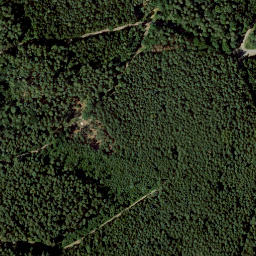 Satellite imagery of Tannenberg, DE