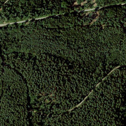 Satellite imagery of Tannenberg, DE