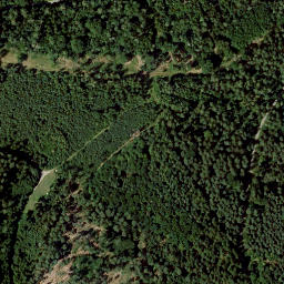 Satellite imagery of Tannenberg, DE
