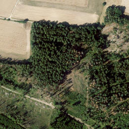 Satellite imagery of Fechheimer Berg, DE