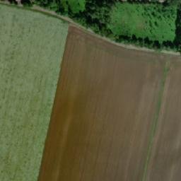 Satellite imagery of (Zelnice) [Pohoří u Dobrušky], CZ