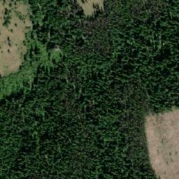 Satellite imagery of Swakum Mountain, CA