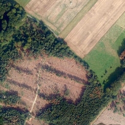 Satellite imagery of Oberhorst, DE