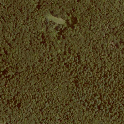 Satellite imagery of Eisenkopf, DE