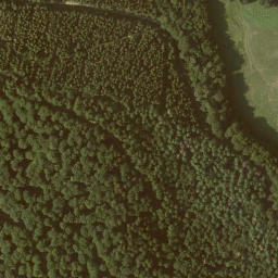 Satellite imagery of Tonkautenkopf, DE